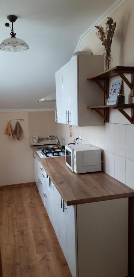 Гостьовий Будинок "Natali" Trouskavets Extérieur photo
